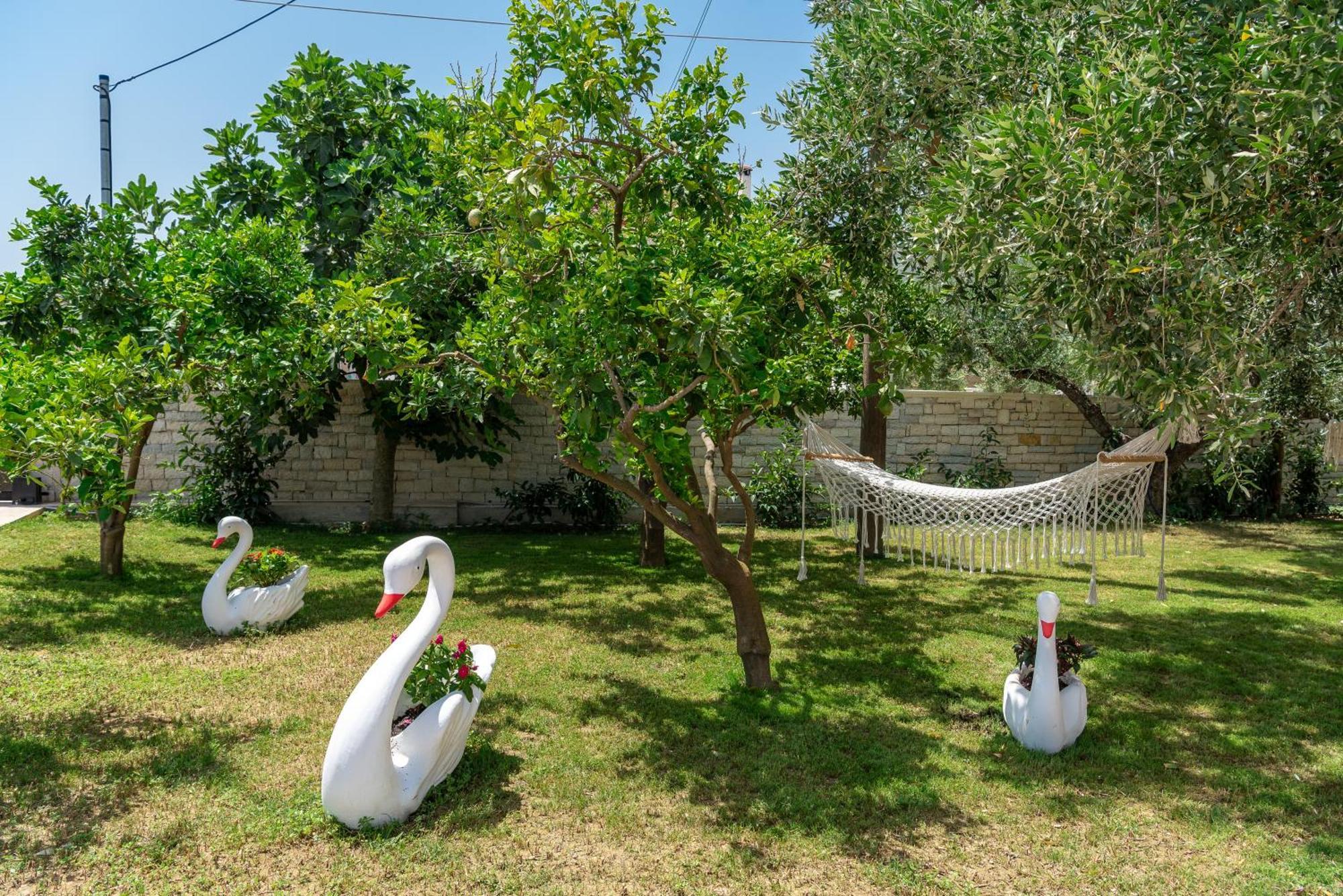 Hébergement de vacances Loula's Alykes (Zakynthos)